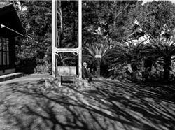 Thumb mini 0060bde88c