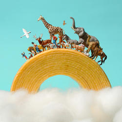 Thumb mini ee7c2b6843