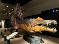 Thumb mini 8dd0c89caf